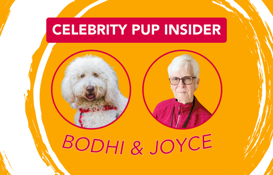 Pictures of Bodhi (a hospice therapy dog) and Joyce (his person)
