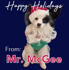 Hospice therapy dog, Mr. McGee (a Papillion) wears a Santa hat and beard