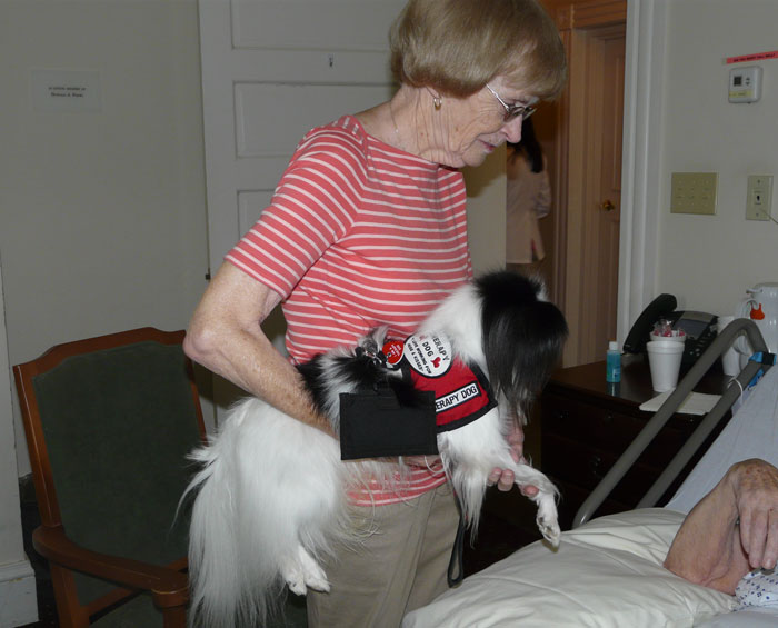 ComplementaryTherapies – Pet Therapy
